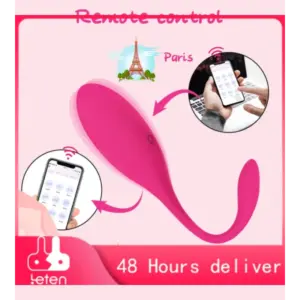 qr41 portable remote control vibratiers